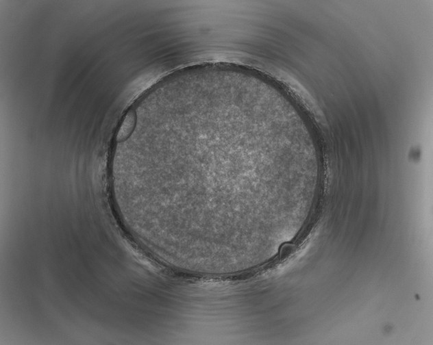 X0000116550977201001211158