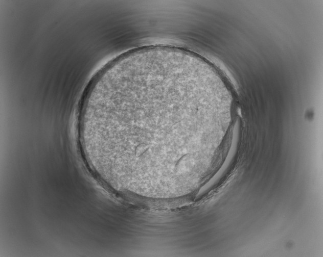 X0000116550983201001211158