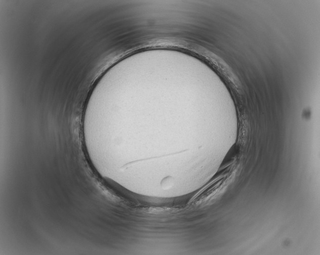 X0000116550985201001211158