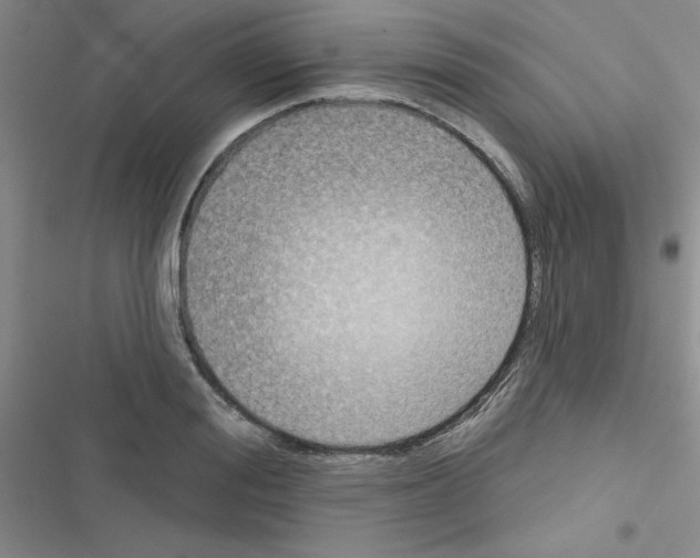 X0000116550988201001211158