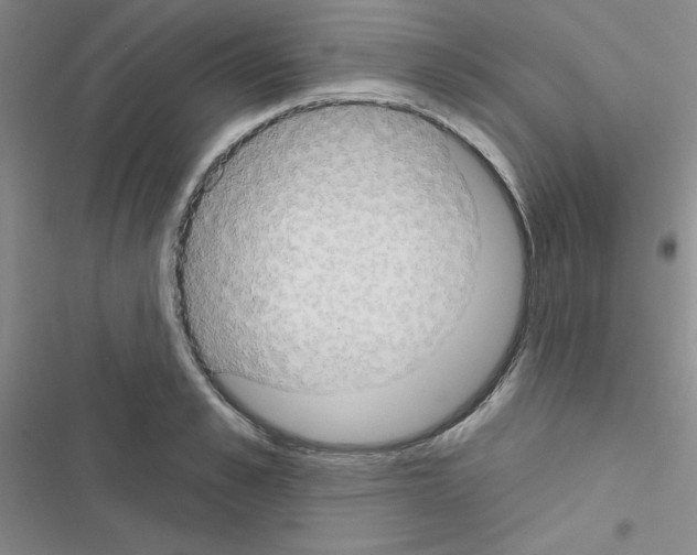 X0000116550989201001211158