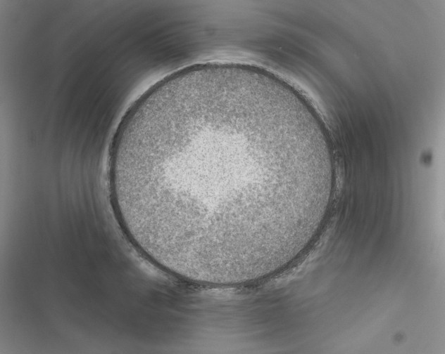 X0000116550990201001211158