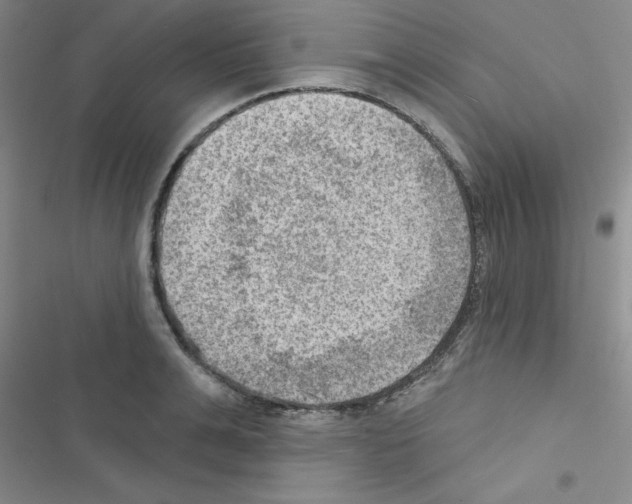 X0000116550991201001211158