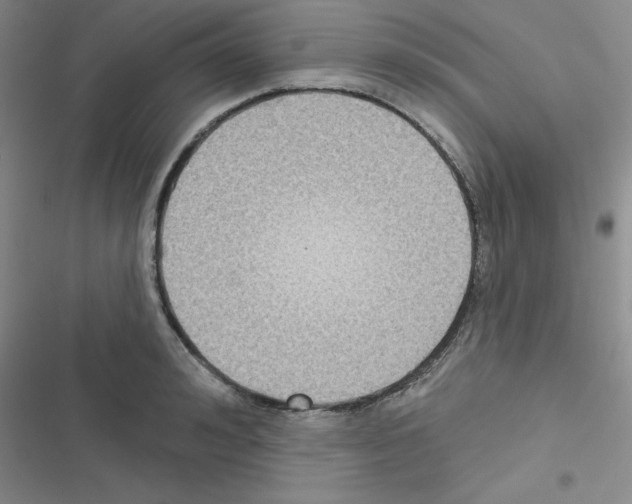 X0000116550992201001211158