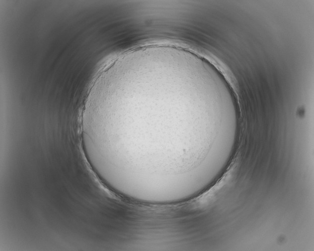 X0000116550993201001211158