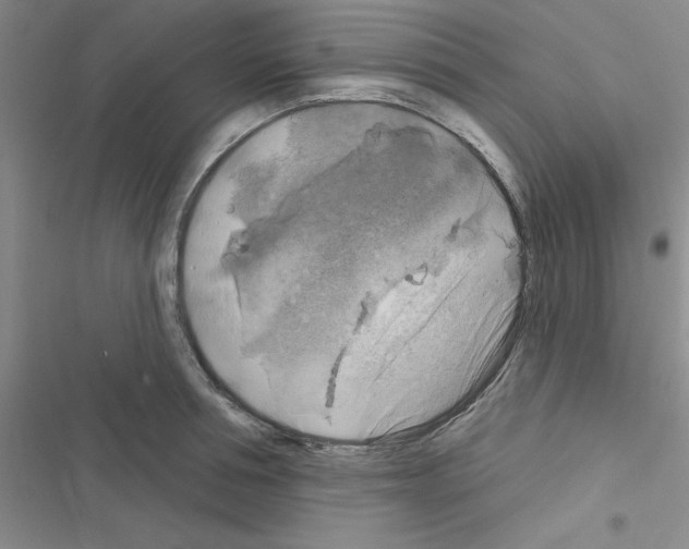 X0000116550994201001211158