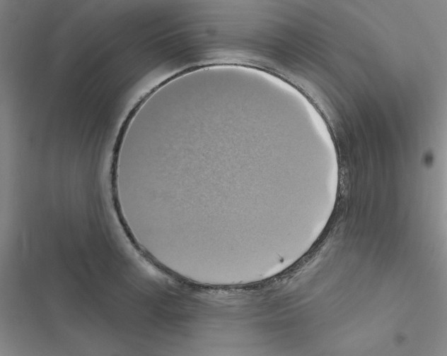 X0000116550995201001211158