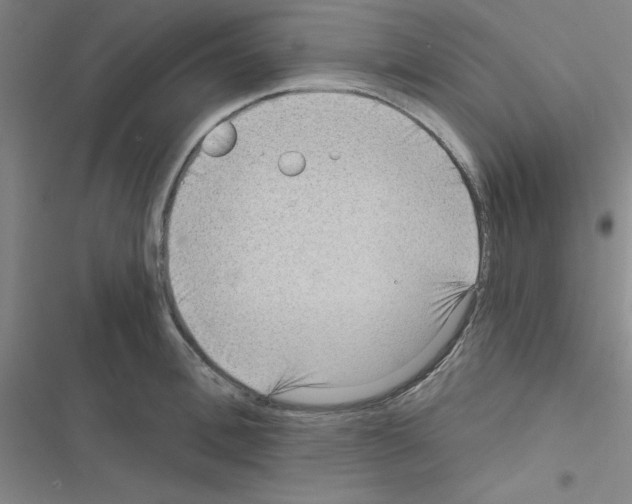 X0000116550996201001211158