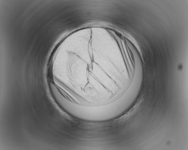 X0000116550997201001211158