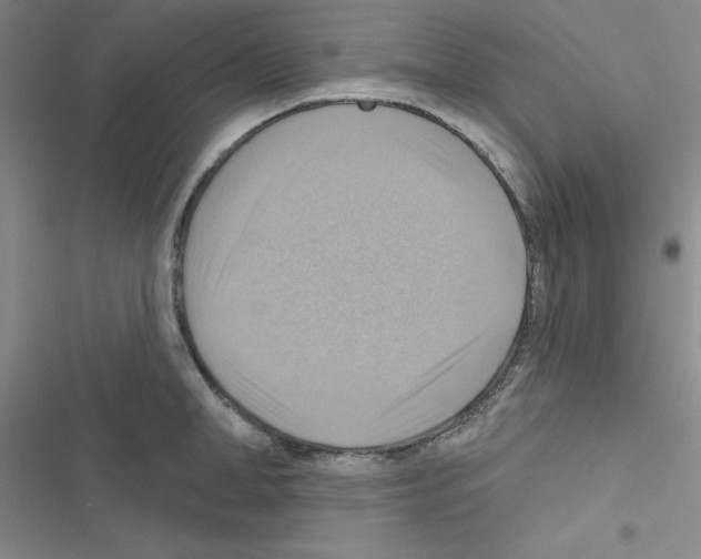 X0000116550998201001211158