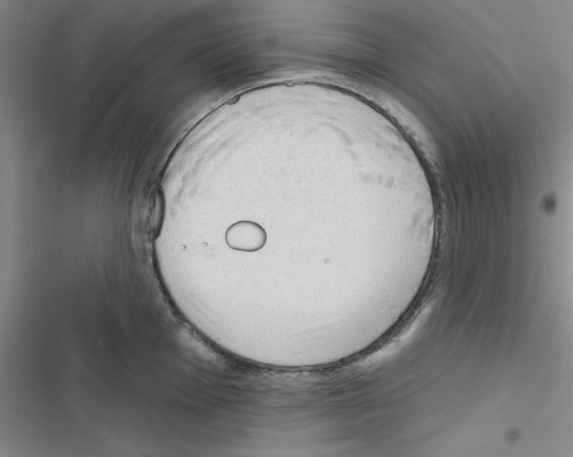 X0000116551001201001211158