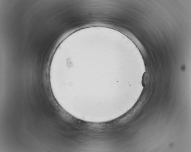 X0000116551004201001211158