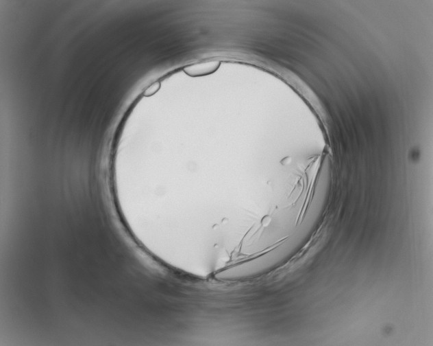 X0000116551005201001211158