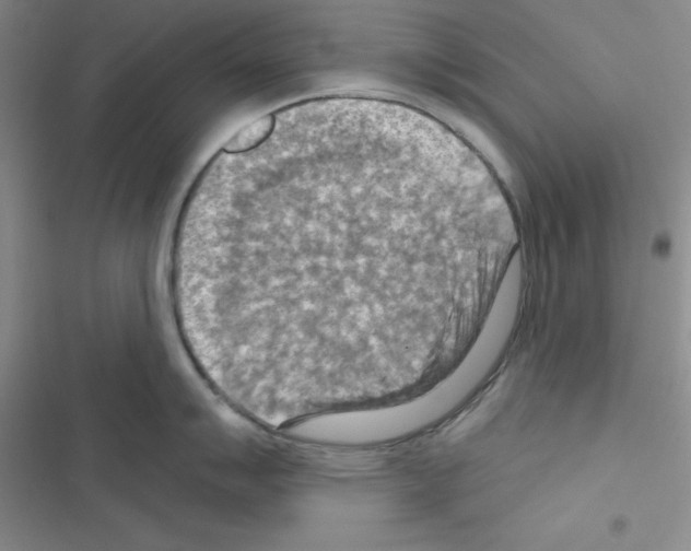 X0000116551007201001211158