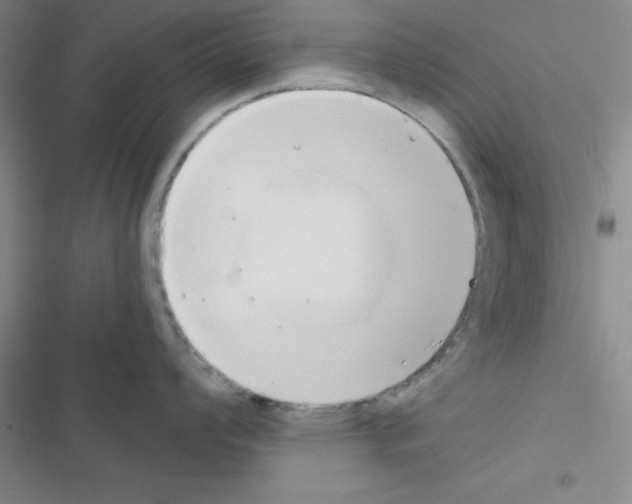 X0000116551008201001211158