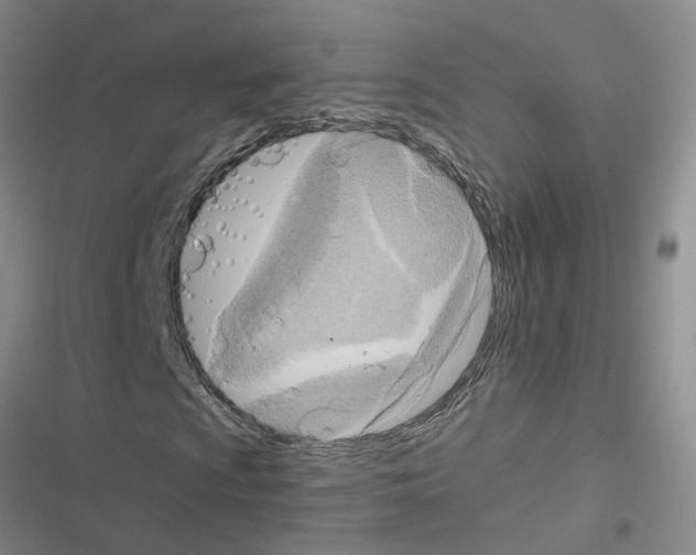 X0000116551009201001211157