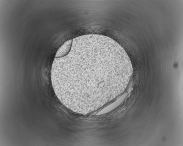 X0000116551010201001211157