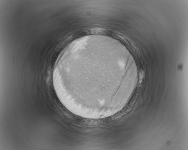 X0000116551011201001211157