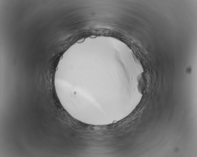 X0000116551013201001211157