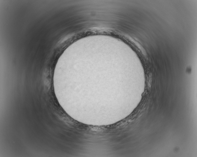 X0000116551015201001211157