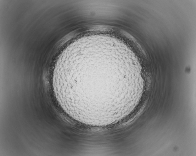 X0000116551017201001211157