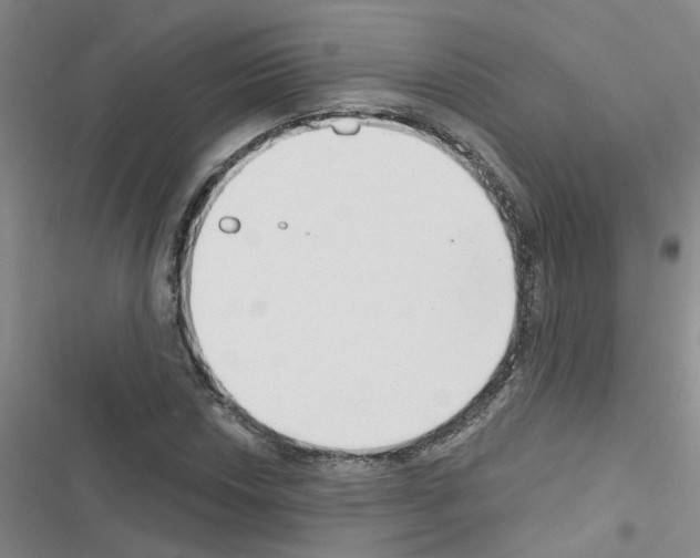 X0000116551018201001211157