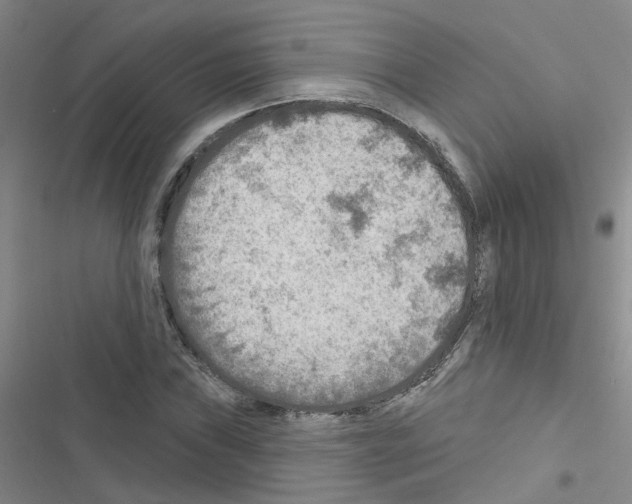 X0000116551019201001211157