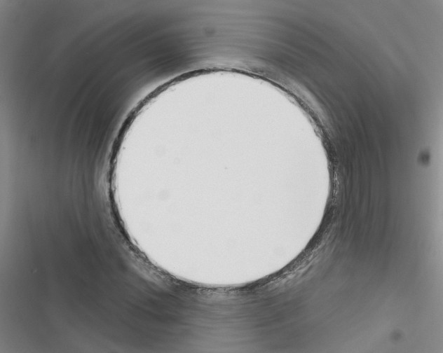 X0000116551020201001211157