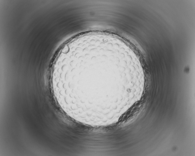 X0000116551021201001211157