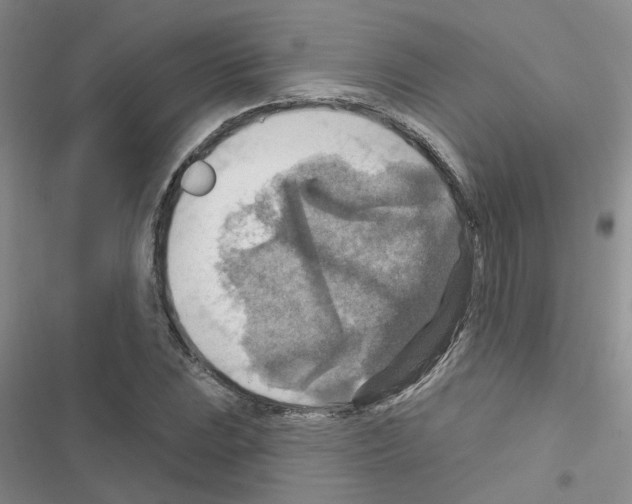 X0000116551023201001211157