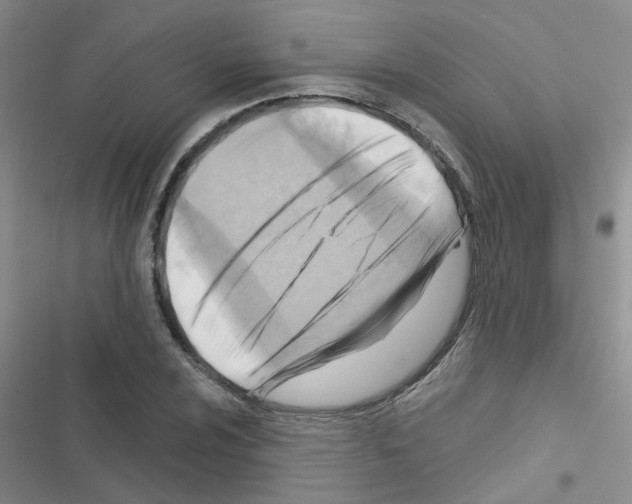 X0000116551024201001211157