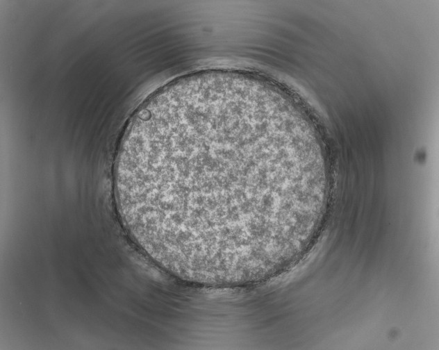 X0000116551025201001211157