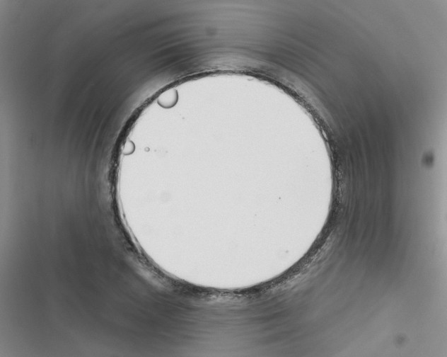 X0000116551026201001211157