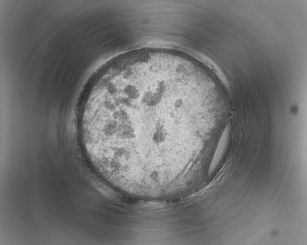 X0000116551027201001211157