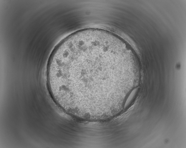 X0000116551028201001211157