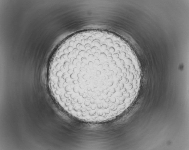 X0000116551030201001211157