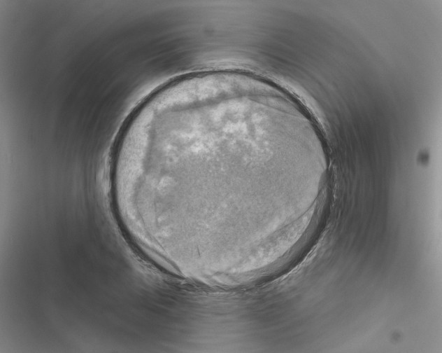 X0000116551031201001211157