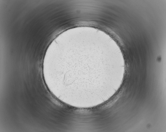 X0000116551033201001211157