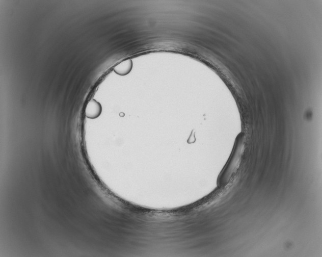 X0000116551034201001211157