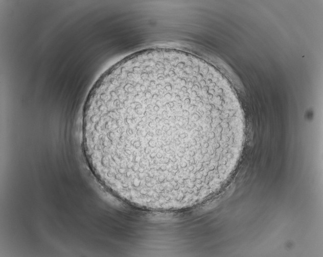 X0000116551036201001211157