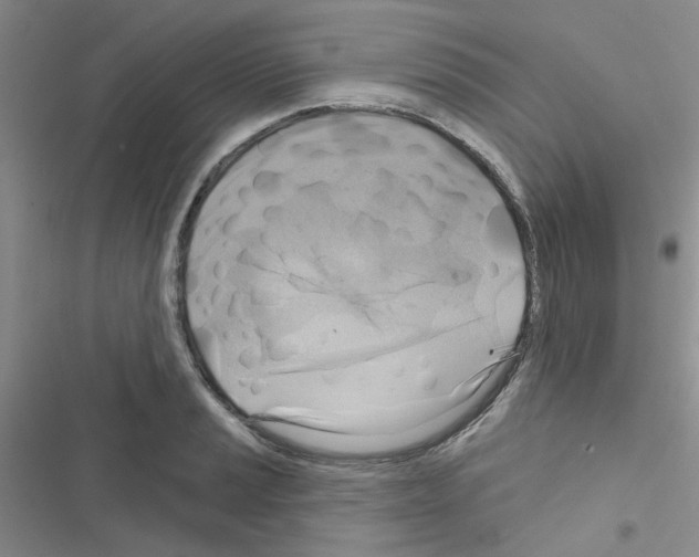 X0000116551037201001211157