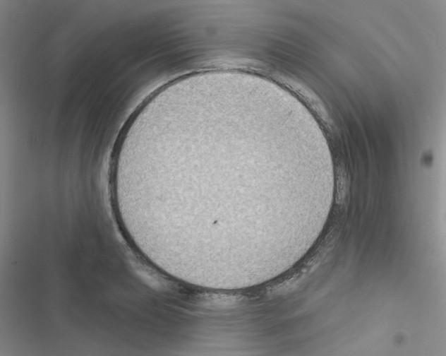 X0000116551039201001211157