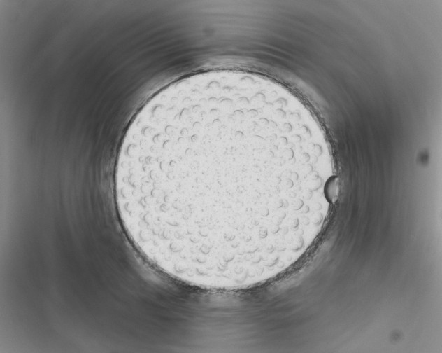 X0000116551041201001211157