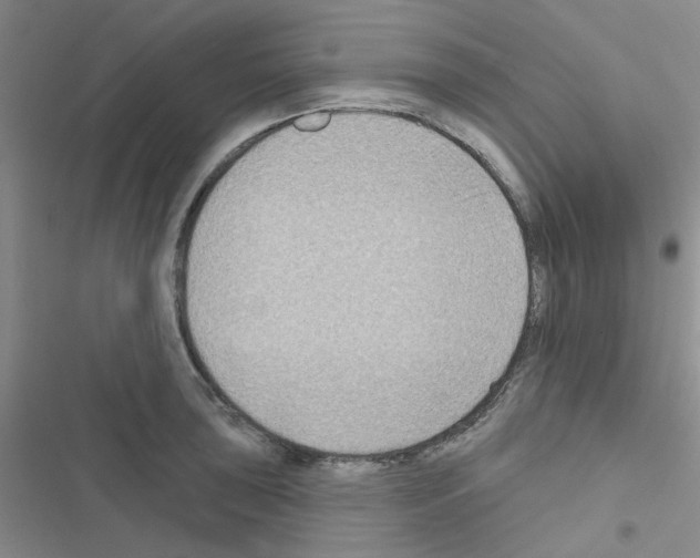 X0000116551043201001211157