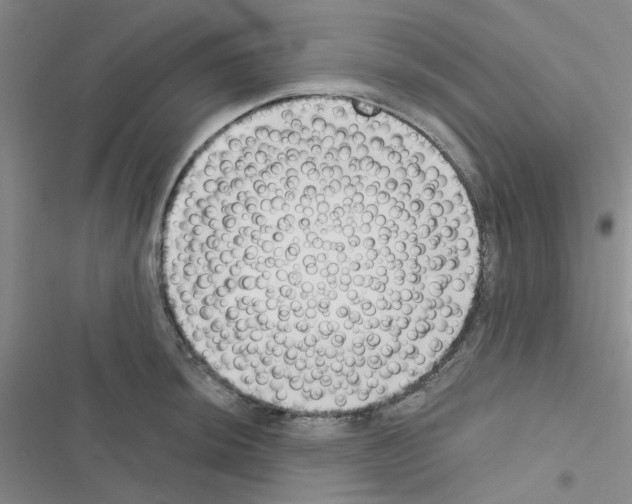 X0000116551044201001211157