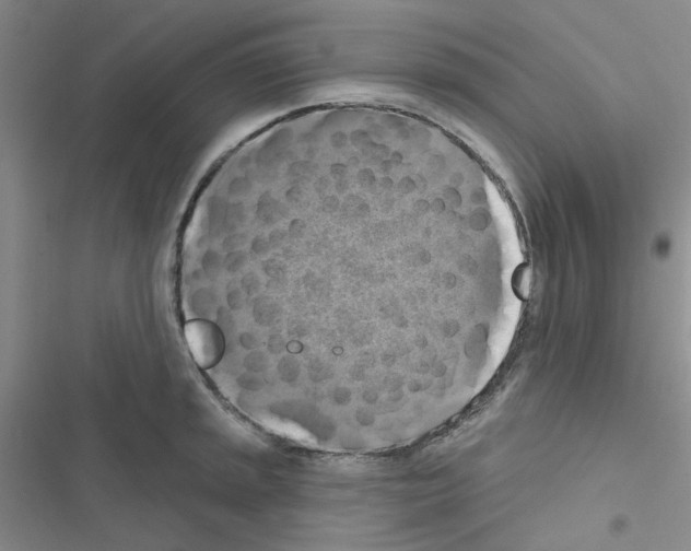 X0000116551045201001211157