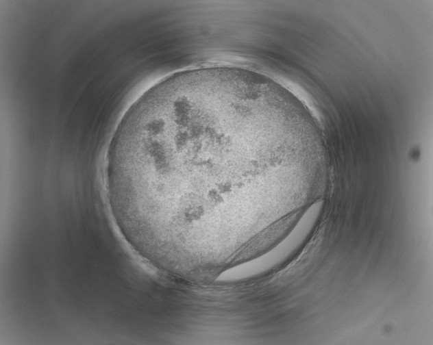 X0000116551047201001211157