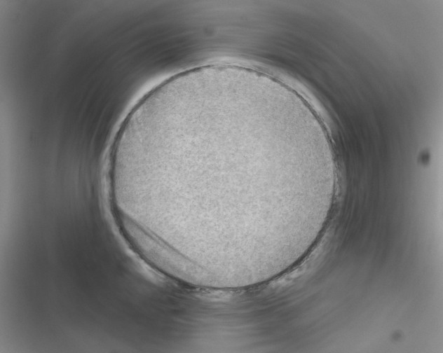 X0000116551048201001211157