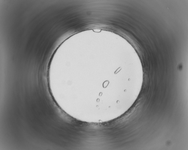 X0000116551050201001211158