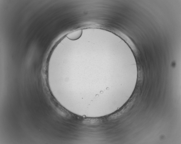 X0000116551051201001211158